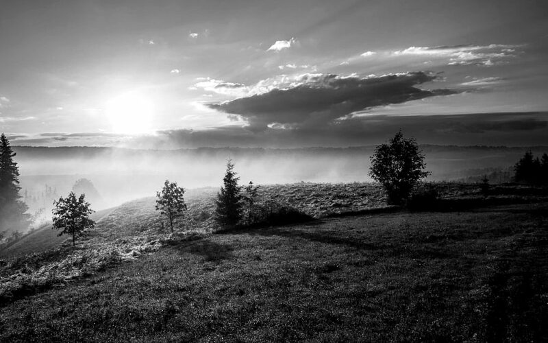 El futur del docent en l’era de la IA — reflexio sobre IA i educacio